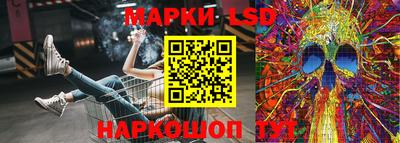 спиды Аргун