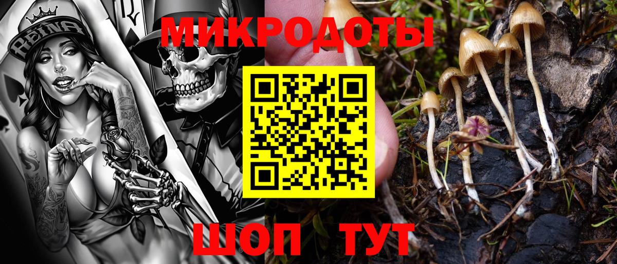 Галлюциногенные грибы Magic Shrooms Боровичи
